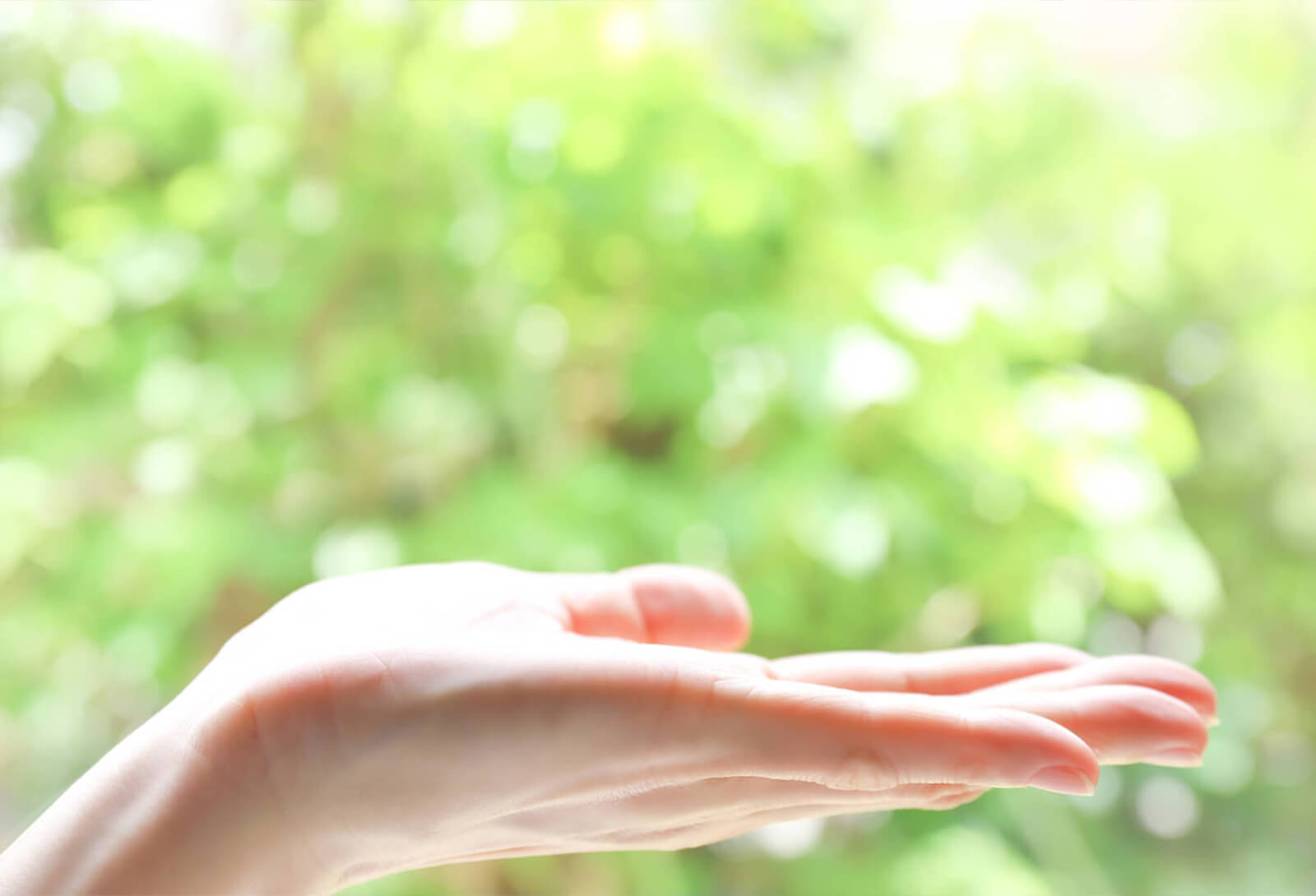 行動援護について画像